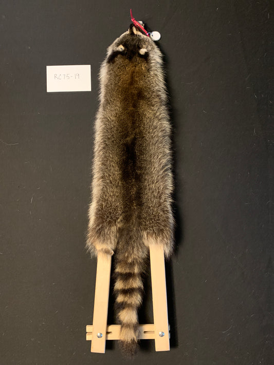 Raccoon fur RC75-19