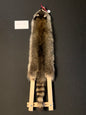 Raccoon fur RC75-19