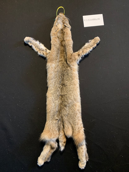 Bobcat KSB0088608