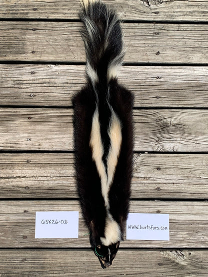 Skunk pelt GSK26-03