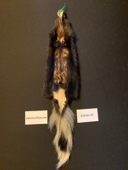 Skunk pelt GSK26-05