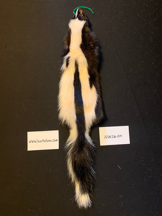 Skunk pelt GSK26-04