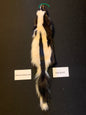 Skunk pelt GSK26-04