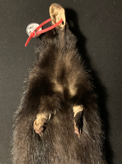 Skunk fur KSK26-08