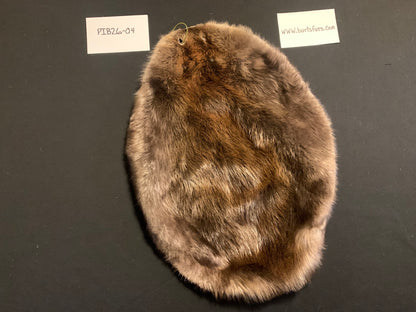 Beaver pelt PIB26-04