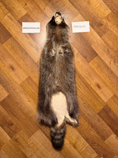 Raccoon pelt PIRC26-21