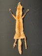 Red fox fur AFRF25-01