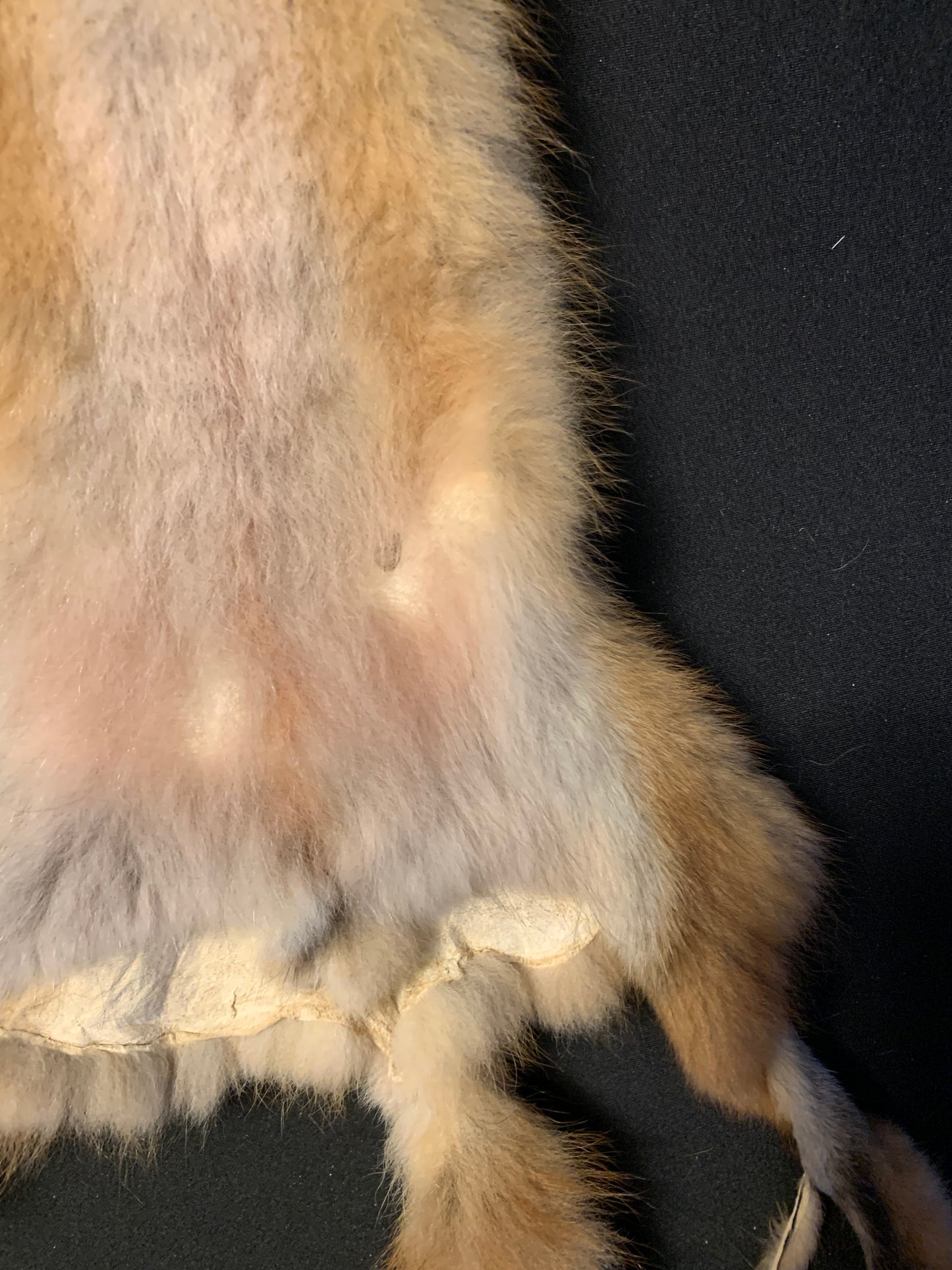 Red fox fur AFRF25-01