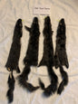 Craft grade black squirrel