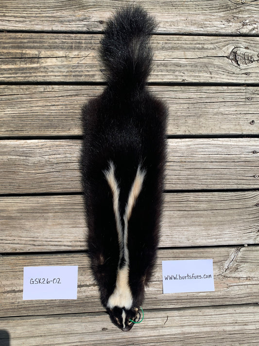 Skunk pelt GSK26-02