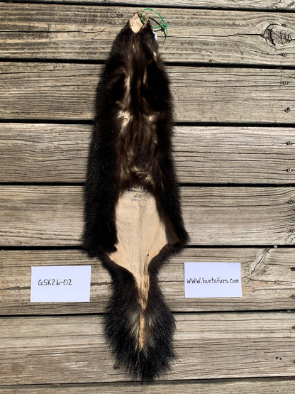 Skunk pelt GSK26-02