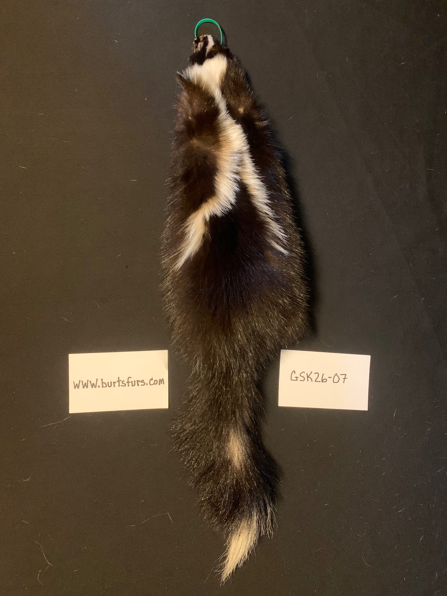 Skunk fur GSK26-07