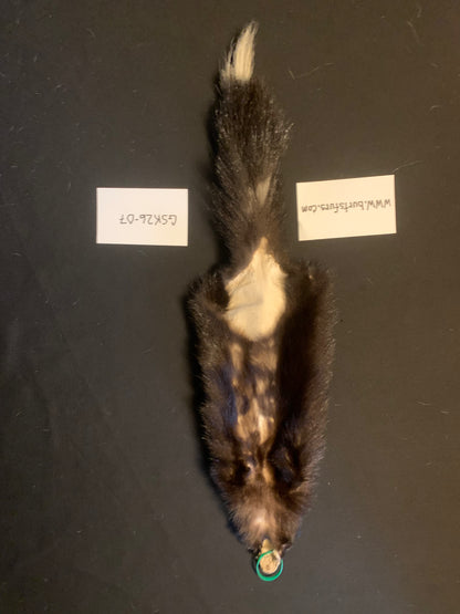 Skunk fur GSK26-07