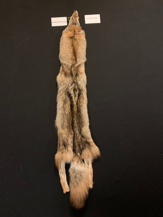 Coyote fur