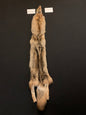 Coyote fur