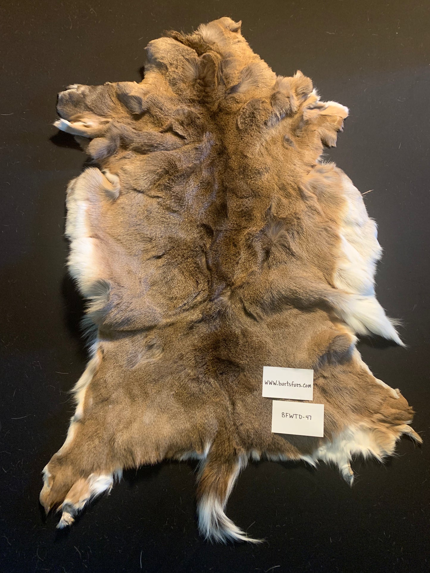 Deer hide   BFWTD-47