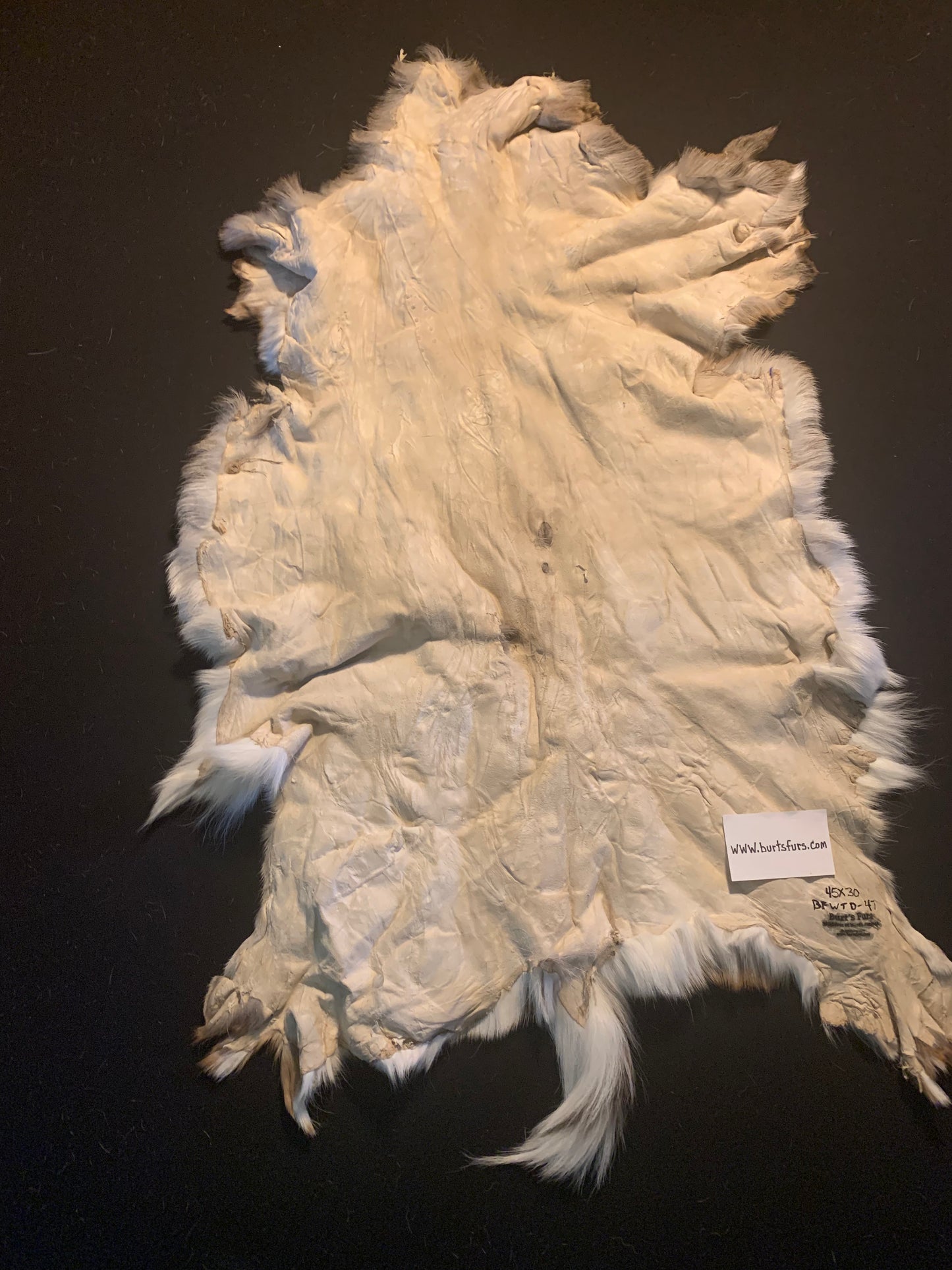 Deer hide   BFWTD-47