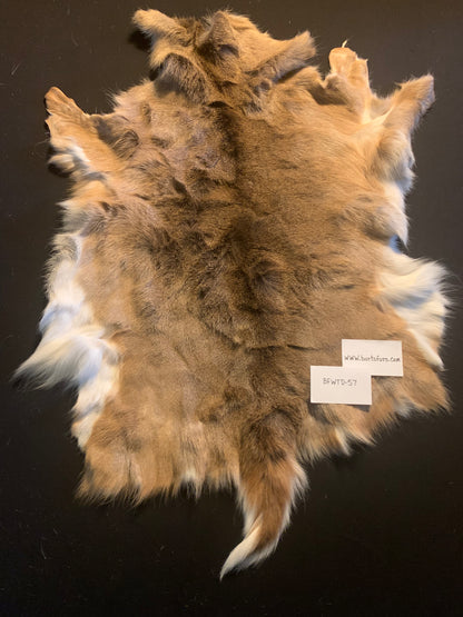 Deer Hide  BFWTD-57