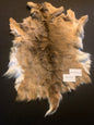 Deer Hide  BFWTD-57