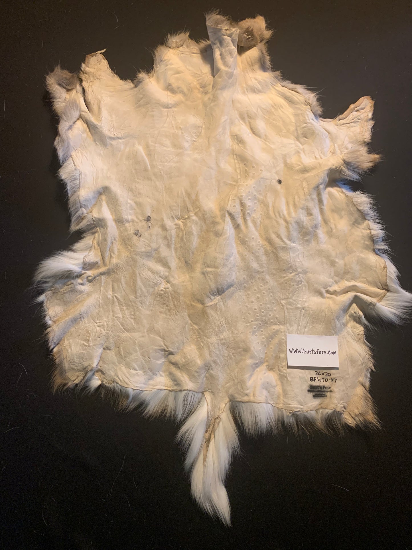 Deer Hide  BFWTD-57