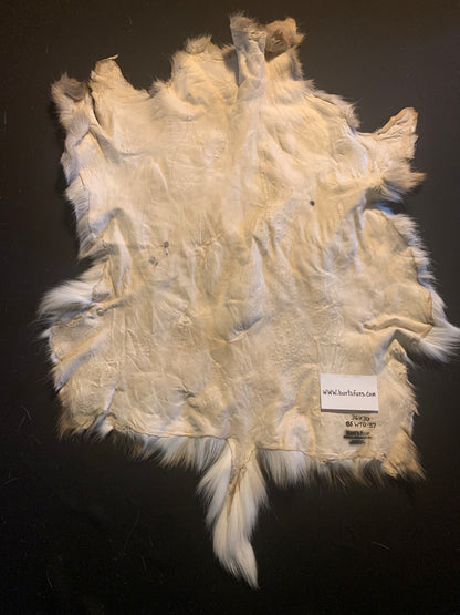 Deer Hide  BFWTD-57