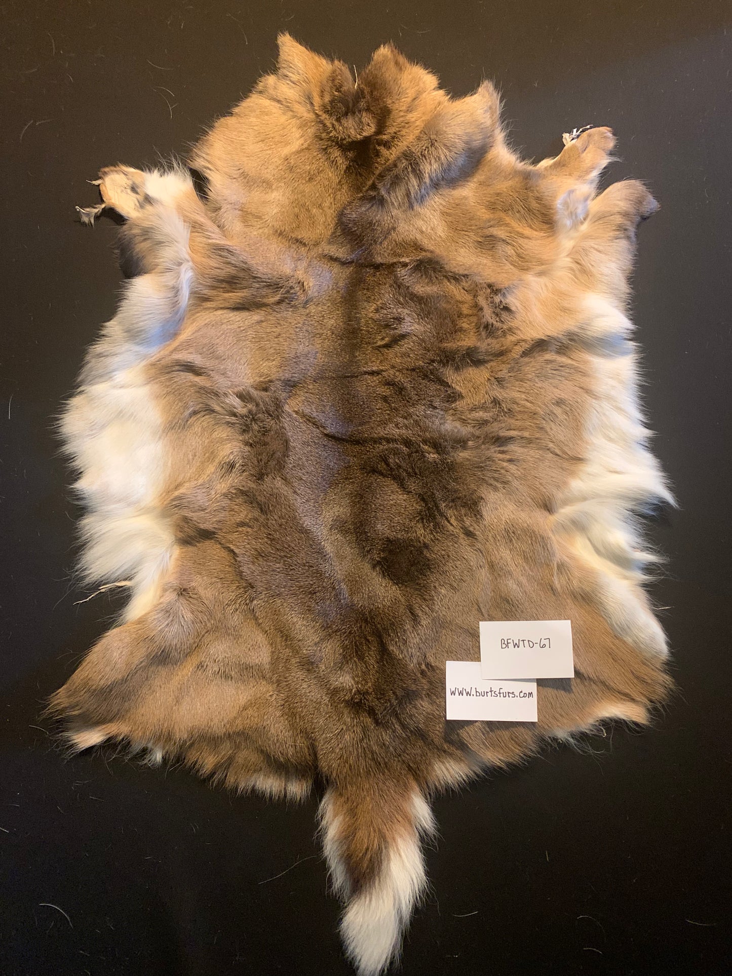 Whitetail deer hide BFWTD-67