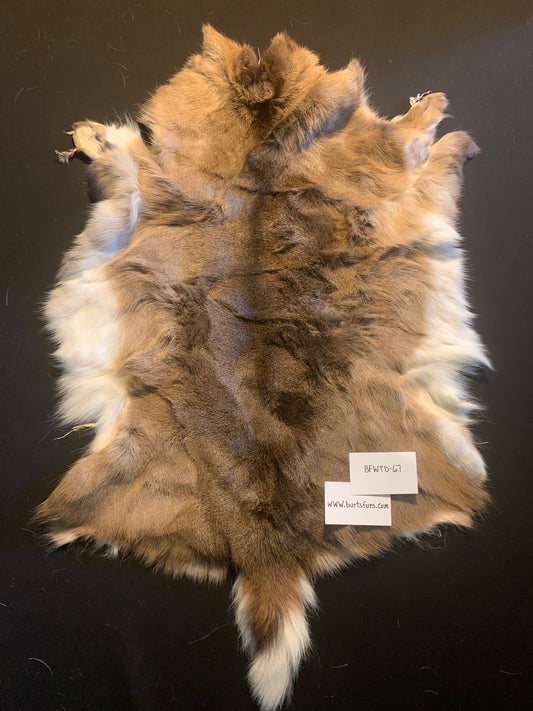 Whitetail deer hide BFWTD-67